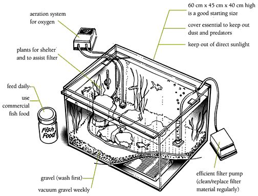 Goldfish aquarium diagram.