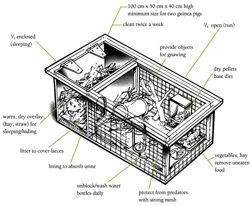 Hutch diagram.