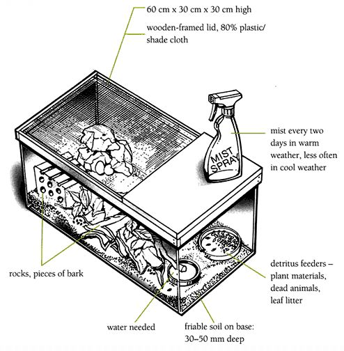 Slater tank diagram.