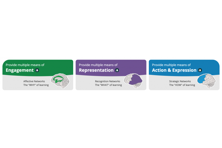 Universal Design for Learning guideline headings.