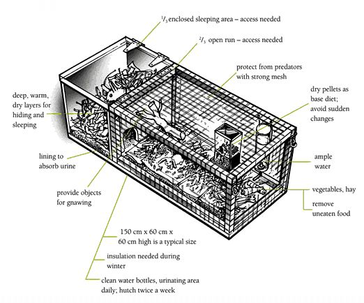 Diagram of a rabbit hutch.