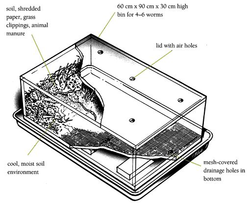 Worm bin diagram.