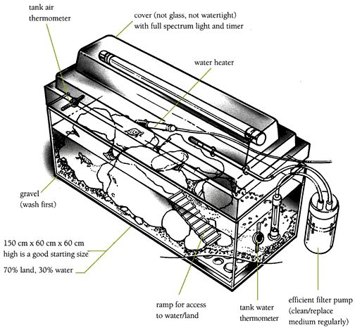 A vivarium diagram.