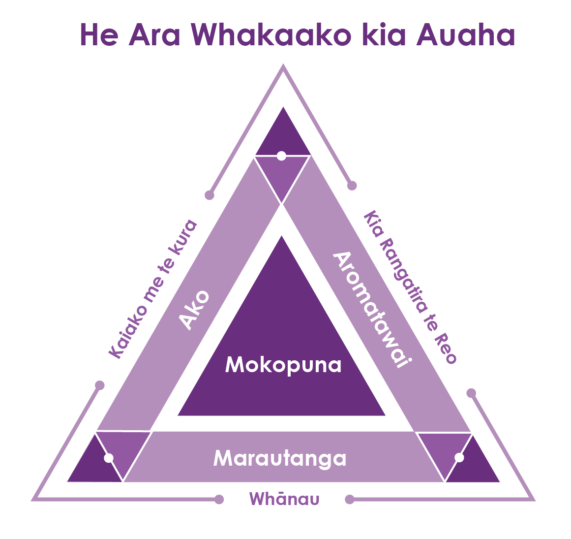 Te Paerangi Kaiako 3