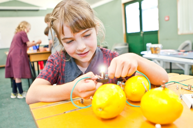 A student is completing a science experiment with lemons and a light bulb.