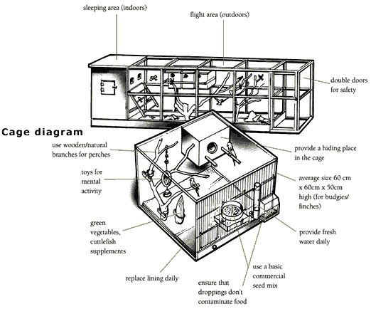 Aviary and cage diagrams pointing out their main features.