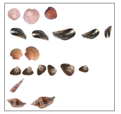 <img src="/images/decorative.jpg" alt"" />