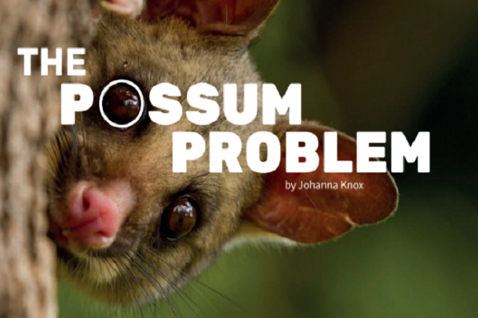 The Possum Problem: Technology in the School Journal