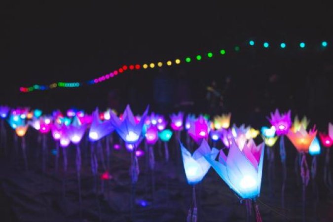 Colourful LED flowers light up at night.