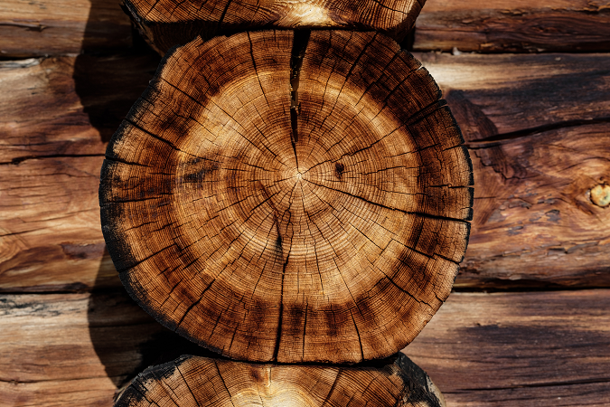 Photo of close up of log of wood.