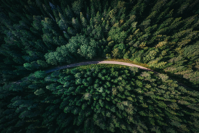 A forest viewed from above.