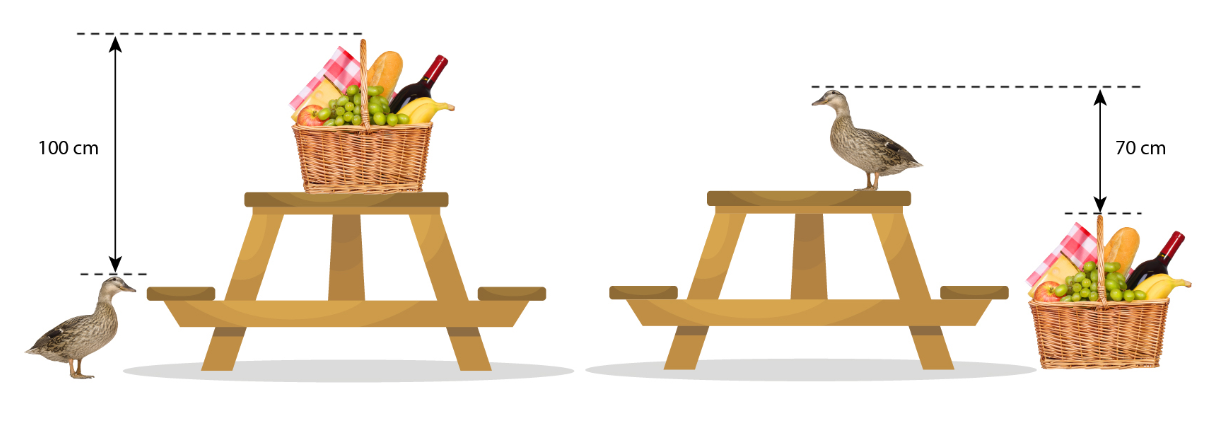 Two picnic tables; one with a picnic basket on the table and a duck on the ground and the other with the duck on the table and a picnic basket on the ground.