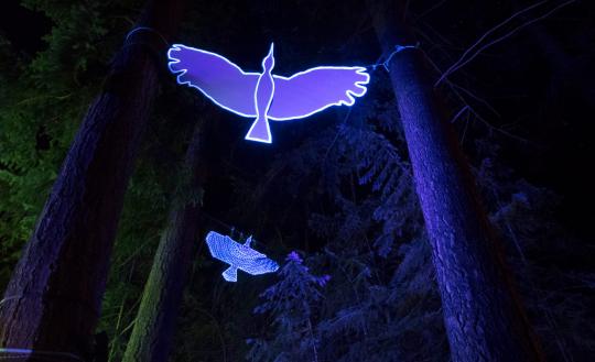 Illuminated bird silhouettes amongst the trees.