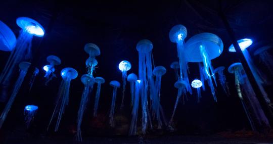 Plastic jellyfish illuminated by blue lighting.