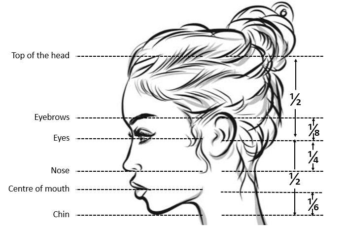 A drawing of a female's side profile broken into sections to show the ratio between each feature of her face.