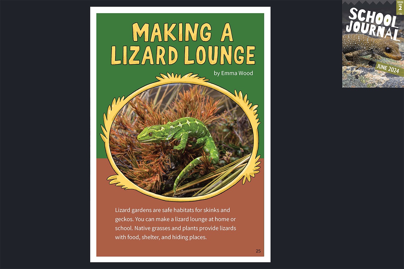 A preview of the article Making a Lizard Lounge.  A photo of a lizard in native grass. The cover of School Journal June 2024 appears in the corner to indicate this article comes from that journal.