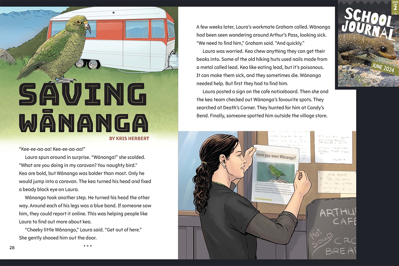 A preview of the article Saving Wānanga. A bright kea in front of a caravan. The cover of School Journal June 2024 appears in the corner to indicate this article comes from that journal.