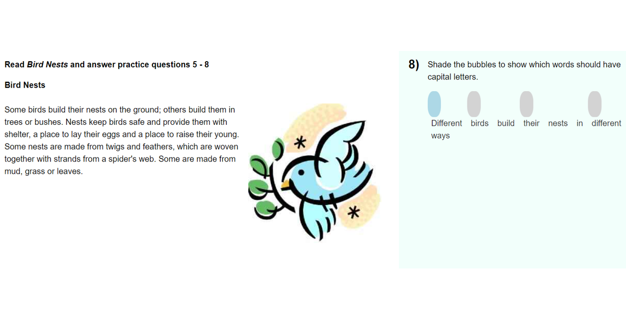 An example of an e-asTTle shade question. On the left, the text says: “Read Bird Nests and answer practice questions 5-8".