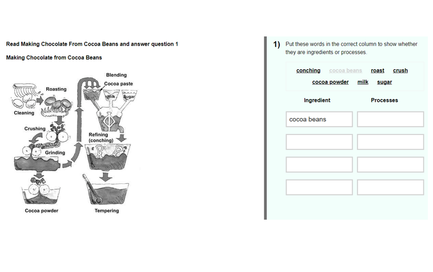 An example of an e-asTTle word question. On the left the text reads: “Read Making Chocolate From Cocoa Beans and answer question 1".