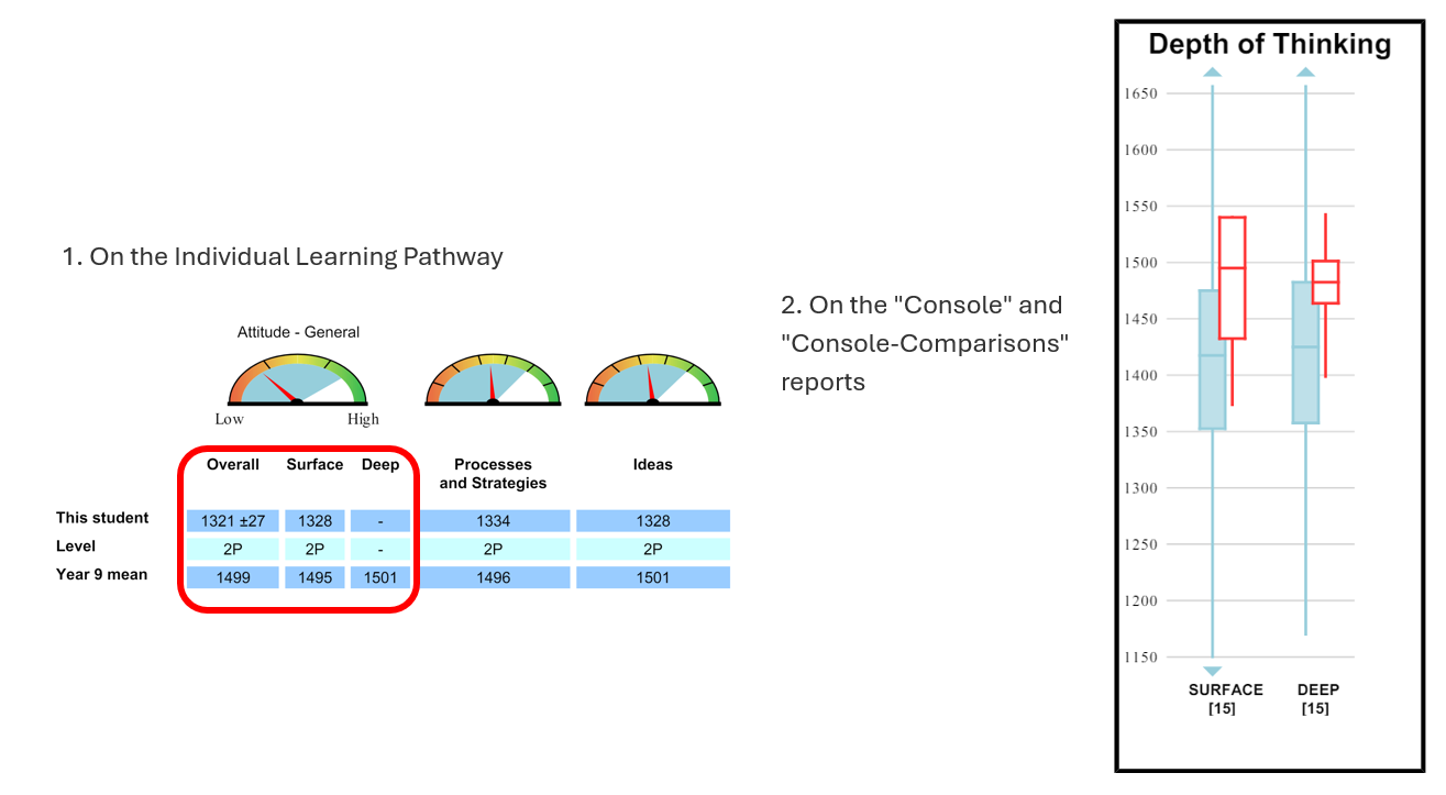 2 report types from e-asTTle - surface and deep.