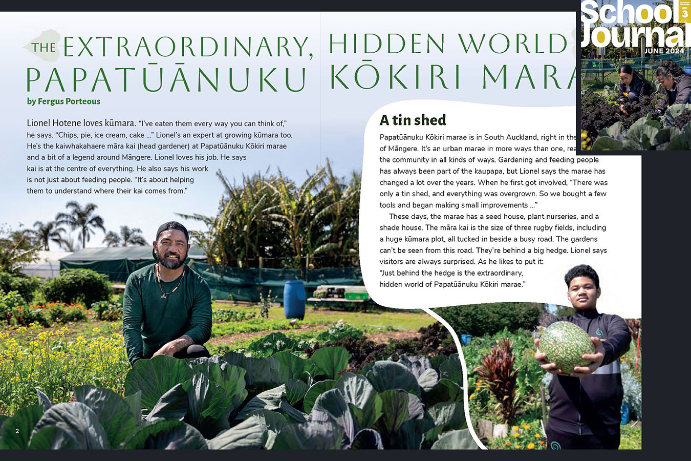 A preview of the article The Extraordinary Hidden World of Papatūānuku Kōkiri Marae. The cover of Level 3 School Journal June 2024 appears in the corner to indicate which journal this appears in.