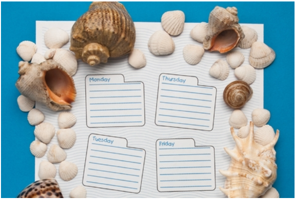 Monday, Tuesday, Thursday, and Friday planner cards with sea shells surrounding them.