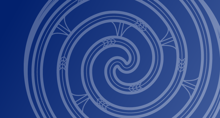 Te-Reo-Rangatira-714x382.png
