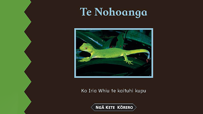 Te Nohoanga