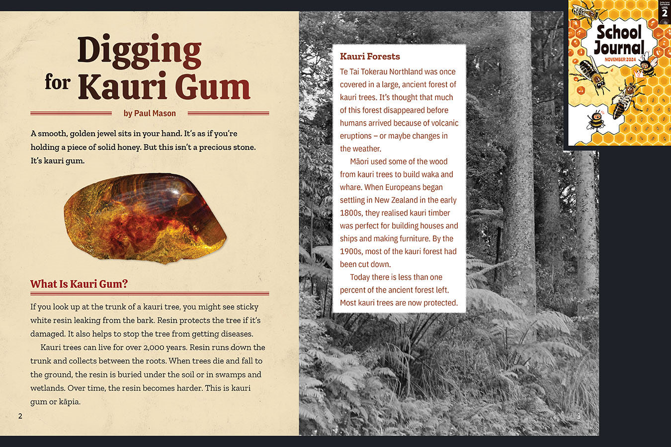 A preview of the article called Digging for Kauri Gum. A large nugget of Kauri Gum. The cover of School Journal Level 2 November 2024 appears in the corner.