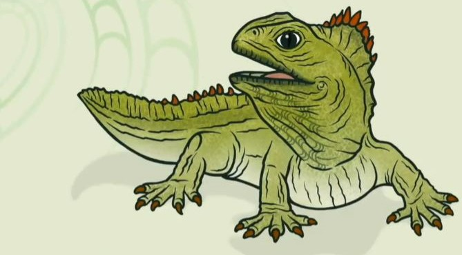 Illustration of a New Zealand Tuatara