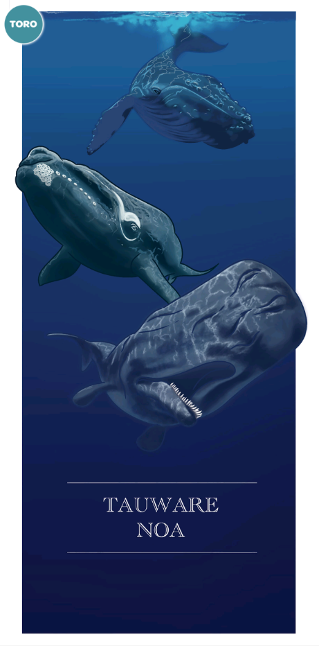 <img src="/images/decorative.jpg" alt"" />