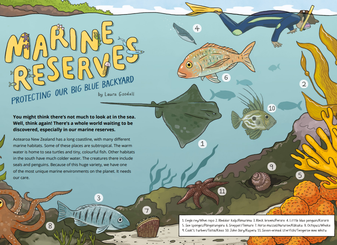 Marine Reserves - Protecting Our Big Blue Backyard