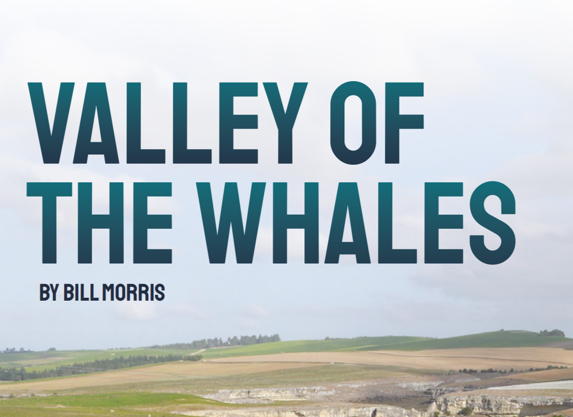 Valley of the Whales