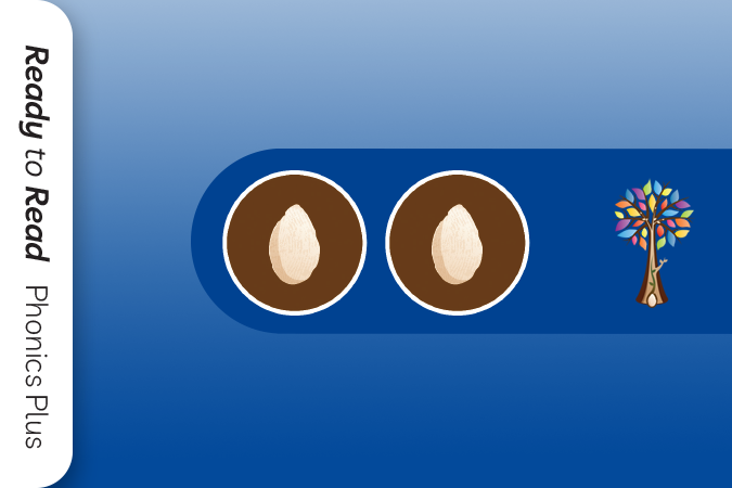 Ready to Read Phonics Plus – Kākano l Seed Phase