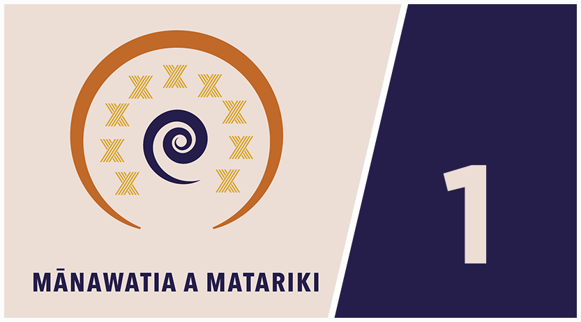 He whakaurunga ki a Matariki