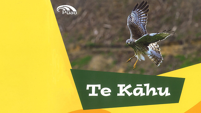 Te Kāhu