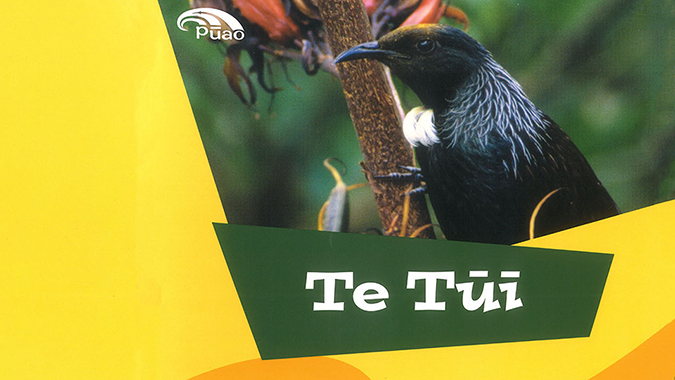 Te Tūī - Pūao