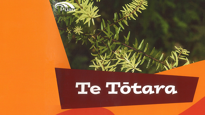 Te Tōtara