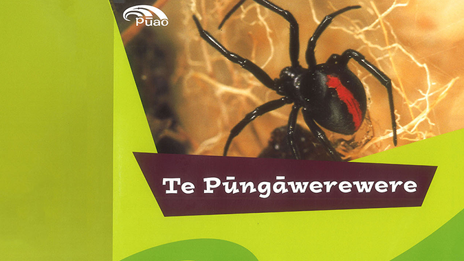 Te Pūngāwerewere