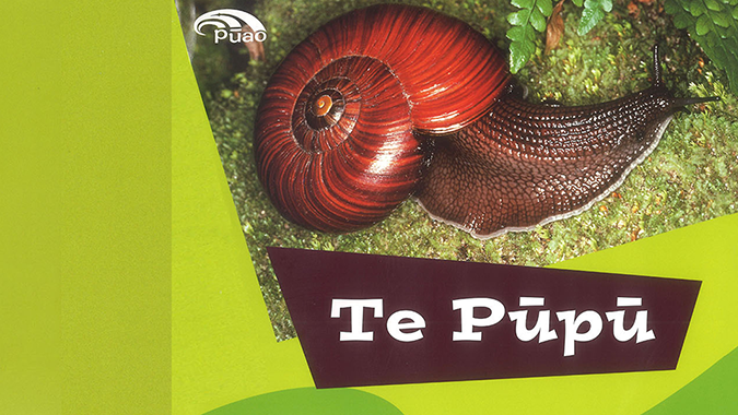 Te Pūpū