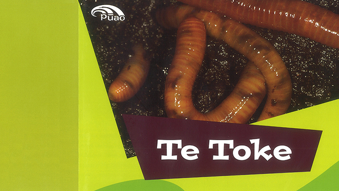 Te Toke