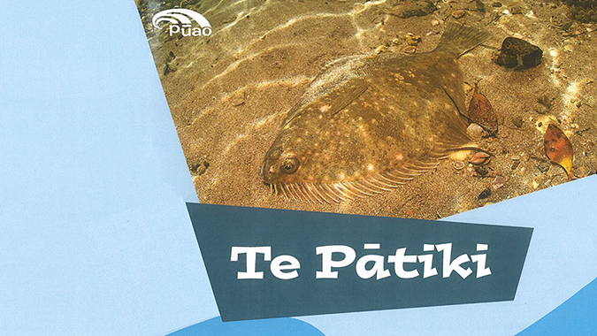 Te Pātiki