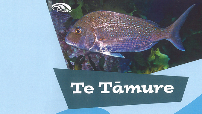 Te Tāmure