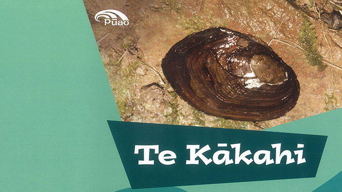 Te Kākahi