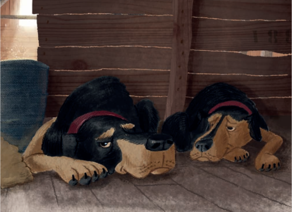 School Journal Level 3 August 2017