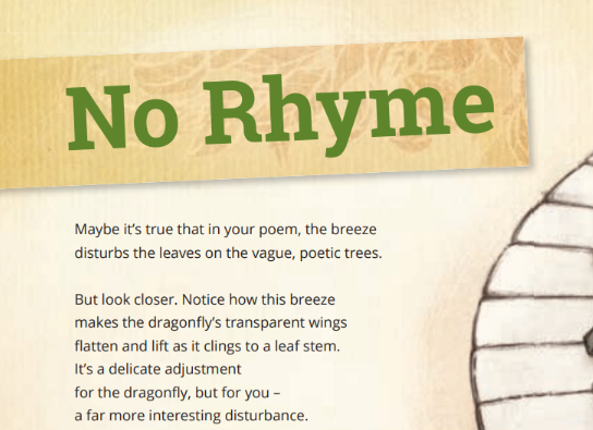 No Rhyming Sign School Journal Level 3 August 2015