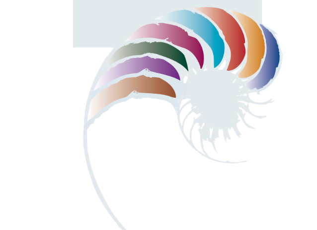 New Zealand Curriculum