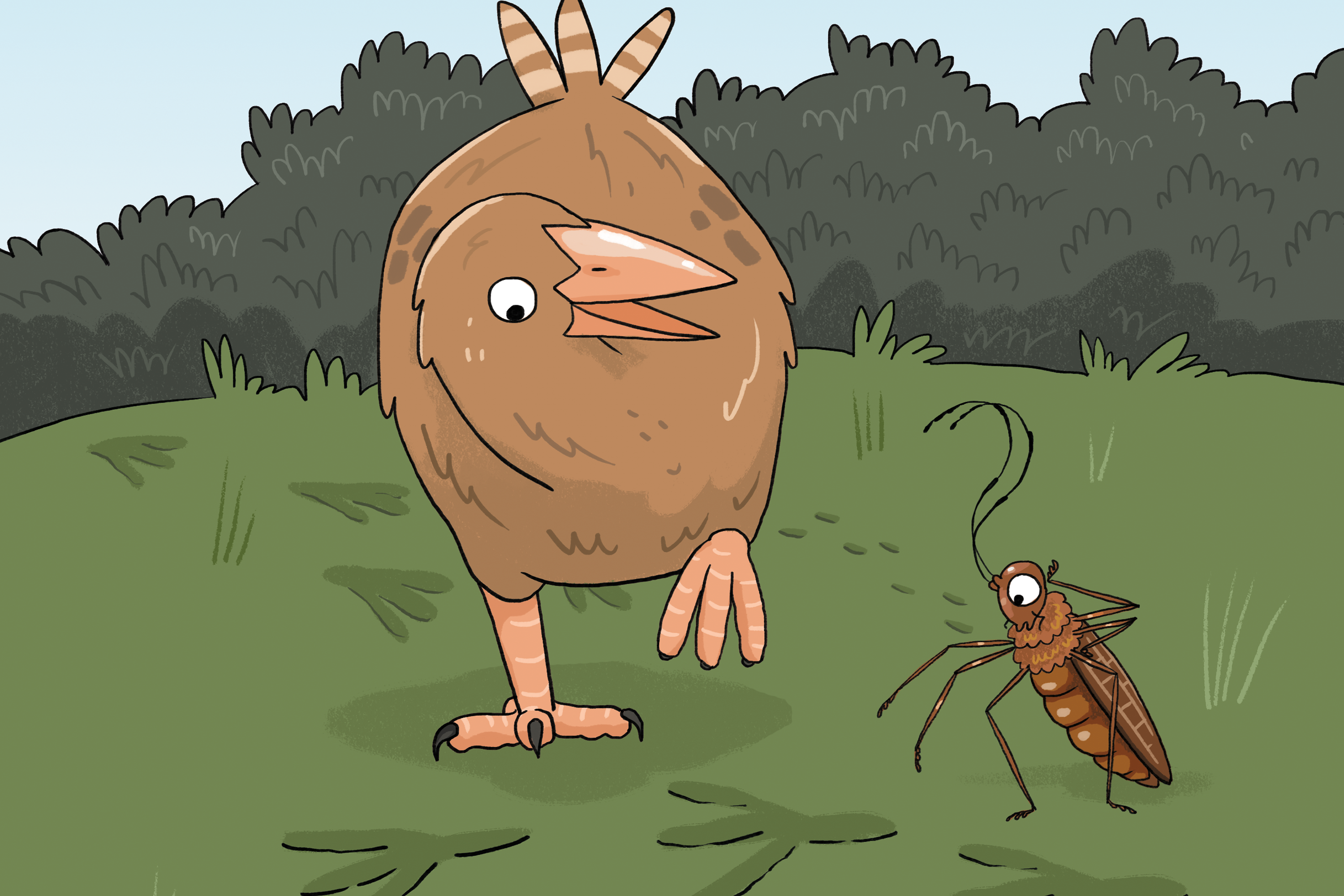 Clues for Weka – Māhuri